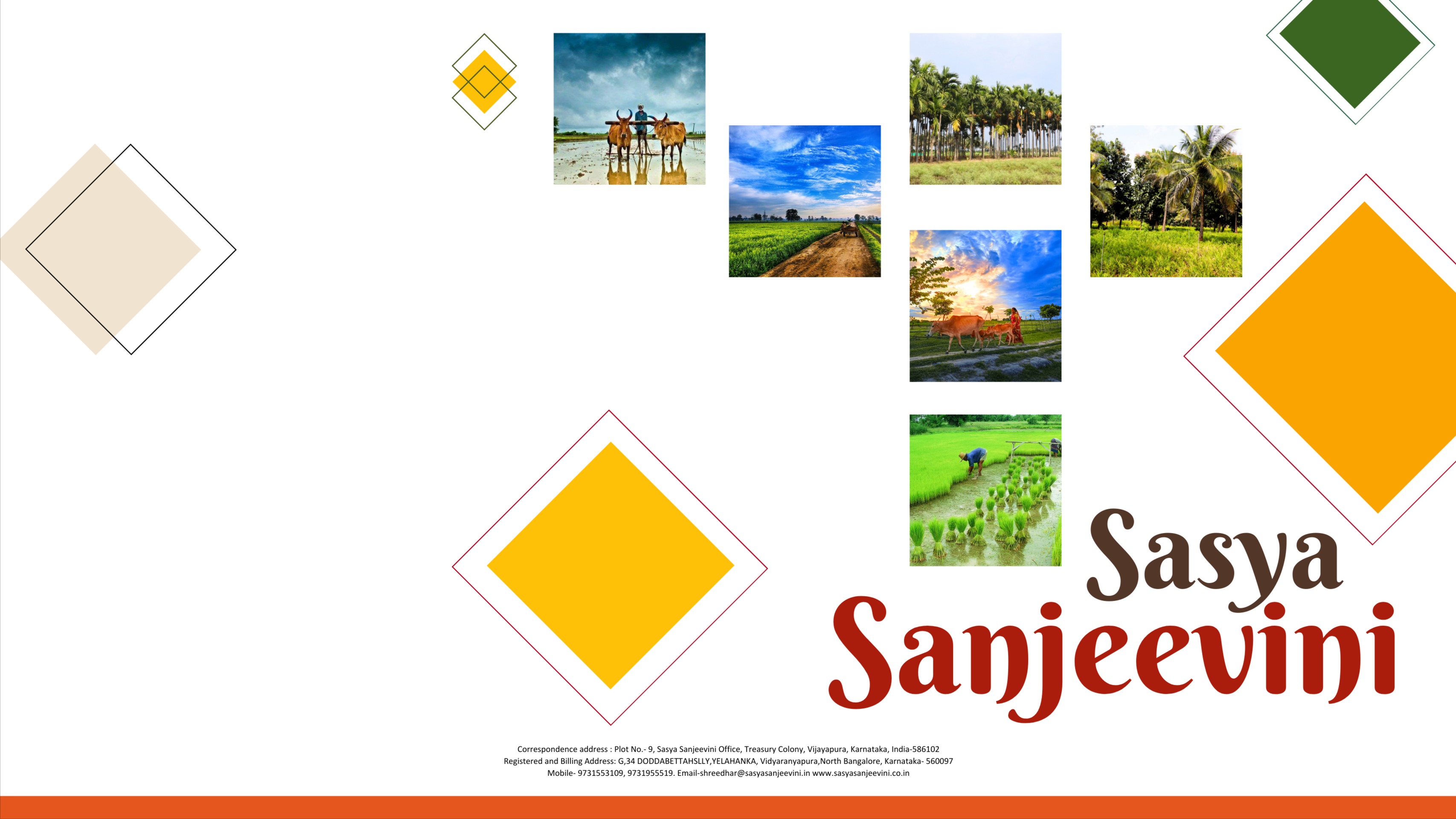 Main Banner Image 1